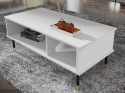 BIM FURNITURE - nowoczesny stolik kawowy SHERWOOD, 110x55 cm, kolor biały mat