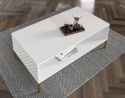 BIM FURNITURE - nowoczesny stolik kawowy SURF, 90x60 cm, kolor biały mat